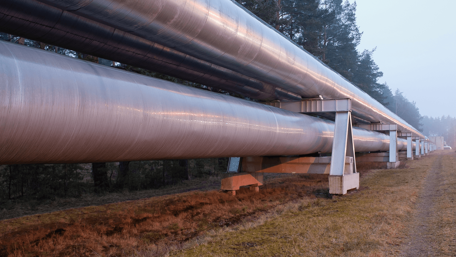 Energy & Utilities